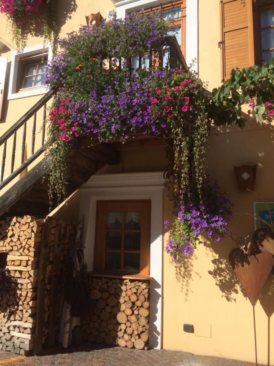 Hotel Garni Salvanel Cavalese Exterior foto